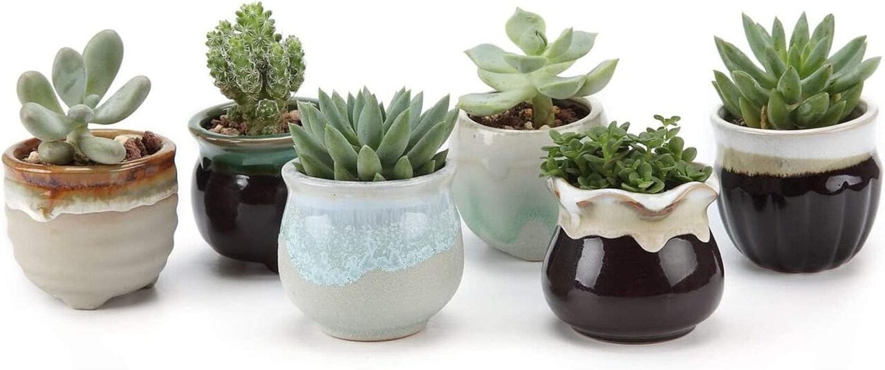 Pack of 6 Small Ceramic Succulent Pots with Drainage (Flowing Glazed)